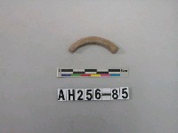 藏品(紅色泥質陶環殘件)的圖片